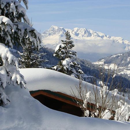 Chalets Ebner Eben Im Pongau Exterior photo